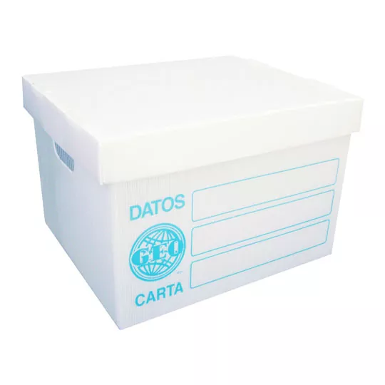 Geo Caja Para Archivo Tamaño Carta (Plástico)